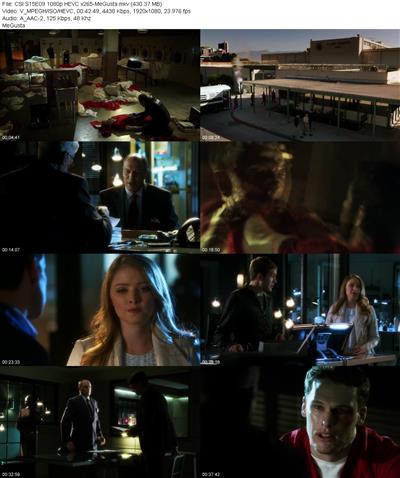 CSI S15E09 1080p HEVC x265 