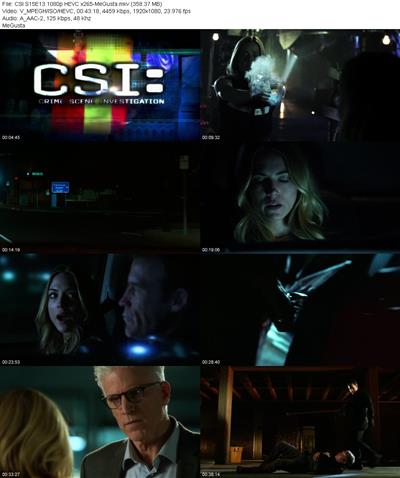 CSI S15E13 1080p HEVC x265 