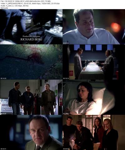 CSI S02E18 1080p HEVC x265 