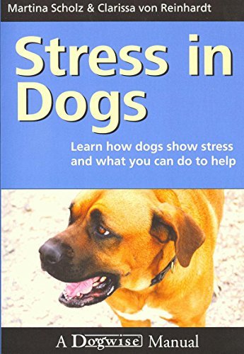 Stress In Dogs   Learn how dogs show stress and what you can do to help