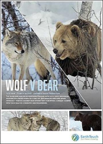 Волк против медведя / Wolf vs. Bear (2018) HDTVRip 720p