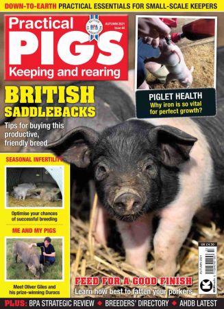 Practical Pigs   Autumn 2021