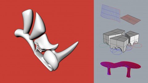 Udemy - Model complex 3D architectural geometry with Rhinoceros