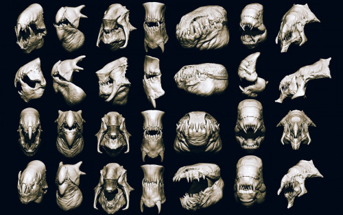JAWS 2 - Another 33 Monster Mouths & Skulls IMM Brush