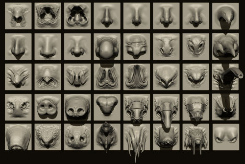 NOSES - 40 ZBrush VDM Nasal Areas