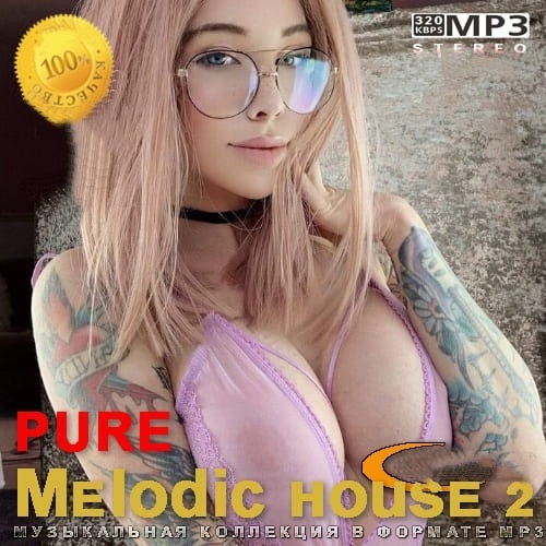 pure Melodic house 2 (2021)
