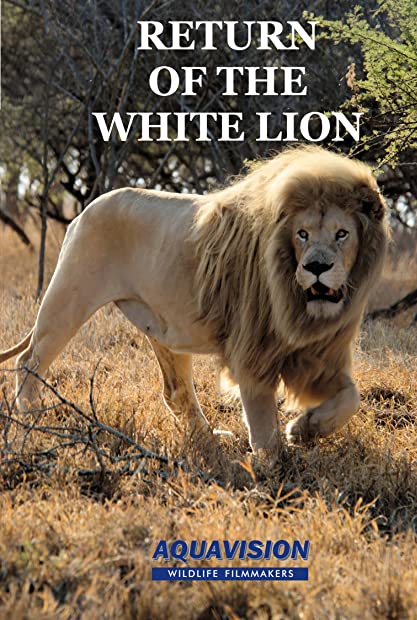 The Return Of The White Lion 2008 1080P Web-Dl H 265-heroskeep