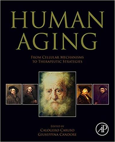 Human Aging From Cellular Mechanisms to Therapeutic Strategies