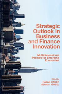 Strategic Outlook in Business and Finance Innovation  Multidimensional Policies for Emerging Economies