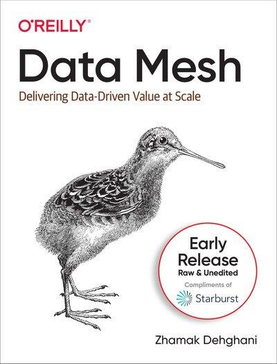 Data Mesh Delivering Data-Driven Value at Scale (3rd Early Release)