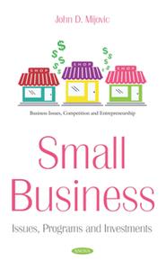 Small Business  Issues, Programs and Investments
