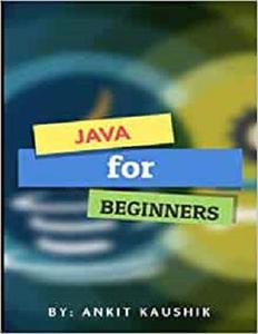 Java for Beginners learn java in one day