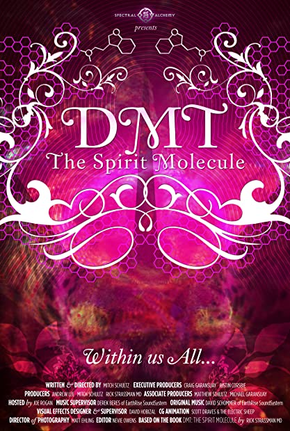 DMT The Spirit Molecule 2010 1080p WEBRip x264-RARBG