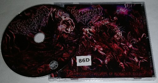 Traumatomy-Transcendental Evisceration of Necrogenetic Beasts-(MGR017-2)-REISSUE-CD-FLAC-2021-86D