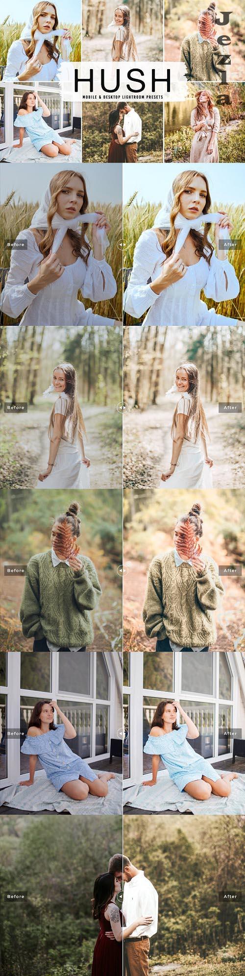 Hush Pro Lightroom Presets - 6495169