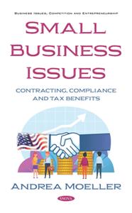 Small Business Issues  Contracting, Compliance and Tax Benefits