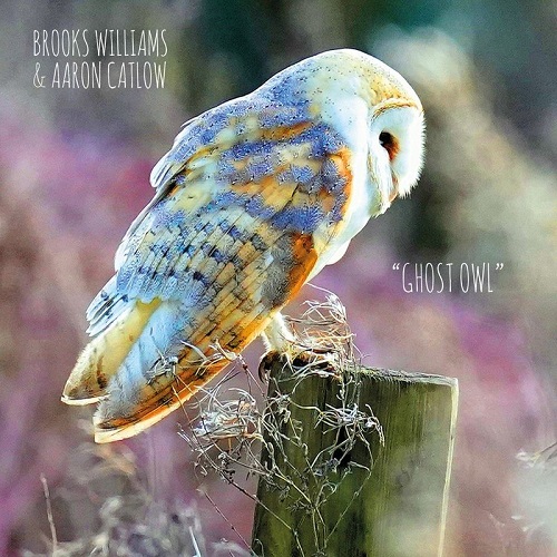 Brooks Williams & Aaron Catlow - Ghost Owl (2021)