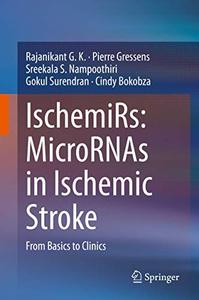 IschemiRs MicroRNAs in Ischemic Stroke From Basics to Clinics