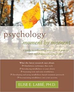 Psychology Moment by Moment A Guide to Enhancing Your Clinical Practice with Mindfulness and Meditation