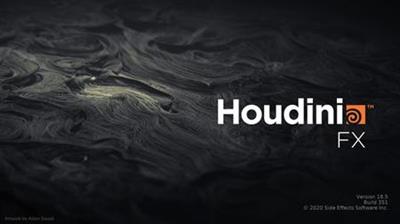 SideFX Houdini FX 18.5.696 (x64)