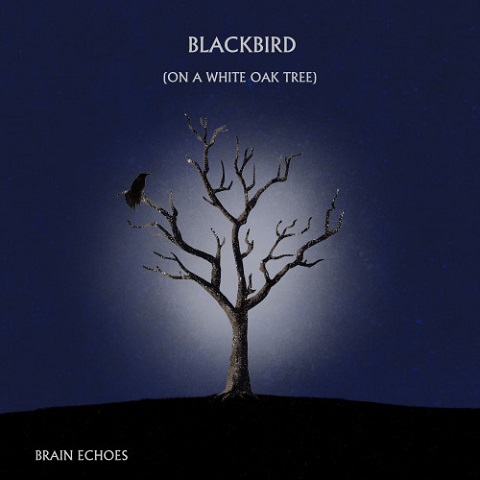 Brain Echoes - Blackbird (On A White Oak Tree) (2021) (Lossless+Mp3)