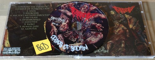 Turbidity-Orgies of Sadism-(BM113)-ID-CD-FLAC-2021-86D