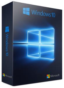 Windows 10 Pro Insider Preview 21H2 Build 19044.1237 x64 En-US Pre-Activated