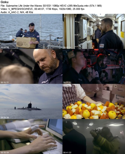 Submarine Life Under the Waves S01E01 1080p HEVC x265-MeGusta
