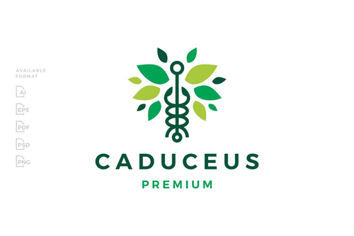 Caduceus Leaf Logo design template