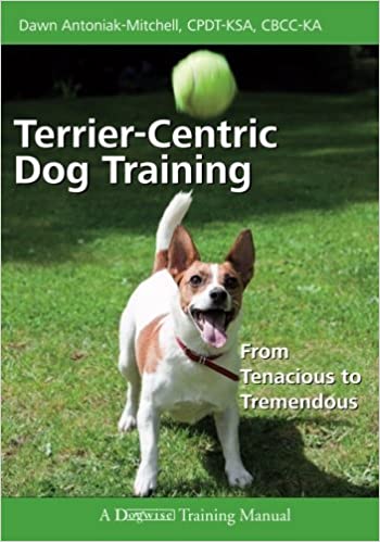 Terrier centric Dog Training: From Tenacious to Tremendous