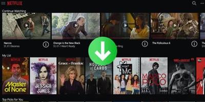 TunePat Netflix Video Downloader 1.7.1 Multilingual