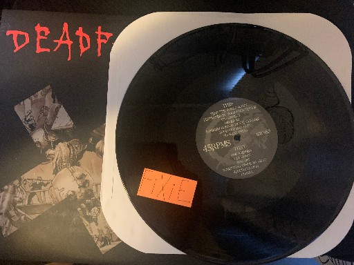 Deadfall-Destroyed By Your Own Device-LP-FLAC-2004-FiXIE