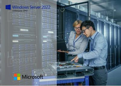 Windows Server 2022 LTSC version 21H2 Build 20348.230 (x64)