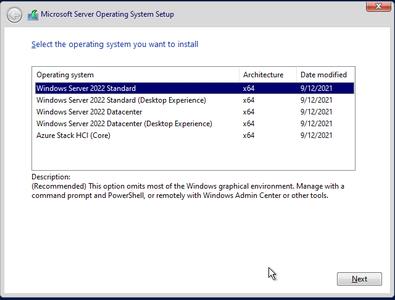 Windows Server 2022 LTSC version 21H2 Build 20348.230 (x64)