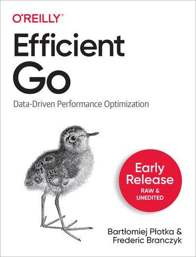 Efficient Go Data Driven Performance Optimization
