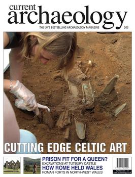 Current Archaeology 2006-05/06 (203)