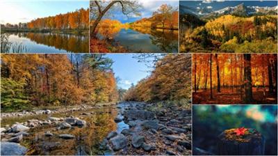 Fall scenery wallpapers (Pack 58)