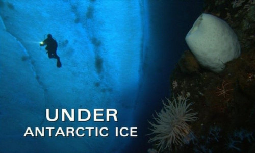 PBS Nature - Under Antarctic Ice (2003)