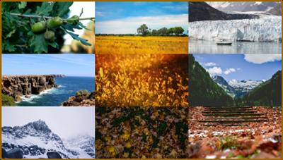 Nature Ultra HD 4K Wallpapers Pack 4