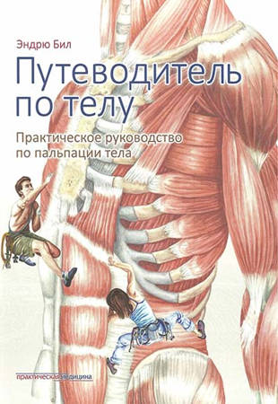 Эндрю Бил - Путеводитель по телу. Практическое руководство по пальпации тела (2017)