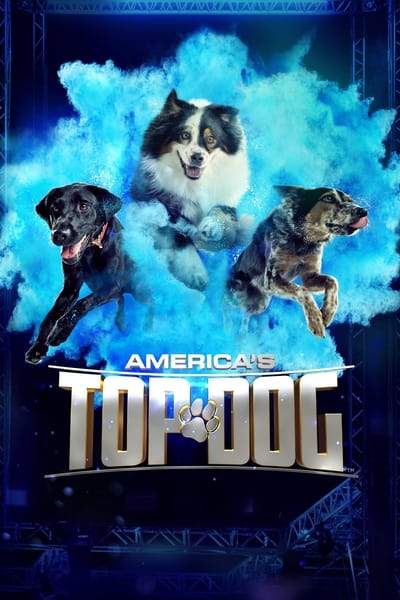 Americas Top Dog S03E03 720p HEVC x265-MeGusta