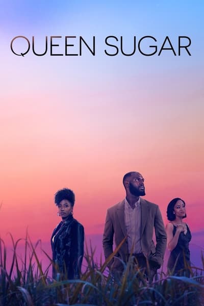 Queen Sugar S06E03 You Would Come Back Different 720p HEVC x265-MeGusta