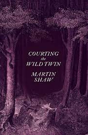 Courting the Wild Twin [AudioBook]