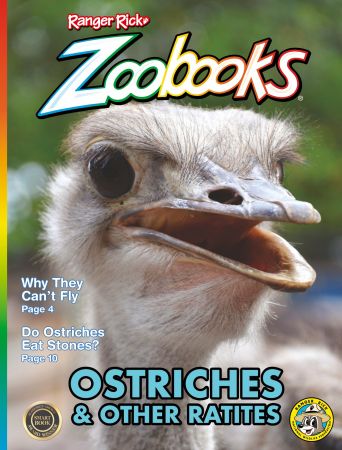 Zoobooks   September 2021