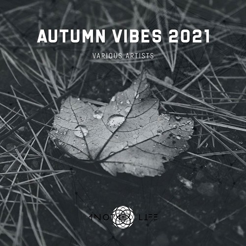 VA - Autumn Vibes 2021 (2021)