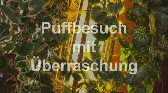 Puffbesuch mit Überraschung / Посещение пуфа с неожиданностью (Mick Haig Productions) [2011 г., Group, BJ, Orgie, Amateurs, Hardcore, All Sex, DVDRip]