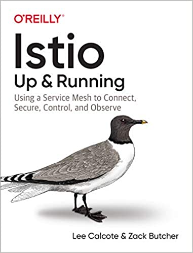 Istio up and Running  Using a Service Mesh to Connect, Secure, Control, and Observe (True PDF)