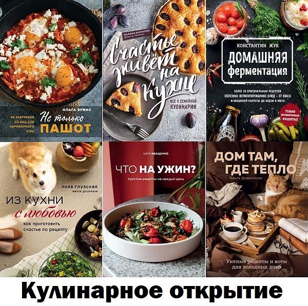 Кулинарное открытие в 93 книгах (2015-2021) PDF, FB2