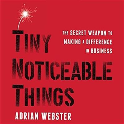 Tiny Noticeable Things The Secret Weapon to Making a Difference in Business [Audiobook]
