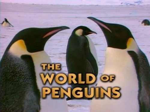 PBS Nature - The World of Penguins (1995)